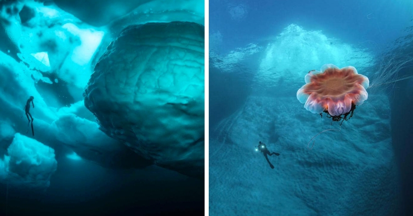 11 raras e impresionantes fotos de un iceberg en Groenlandia del fotógrafo Tobias Friedrich