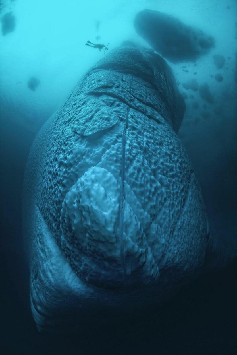 11 raras e impresionantes fotos de un iceberg en Groenlandia del fotógrafo Tobias Friedrich