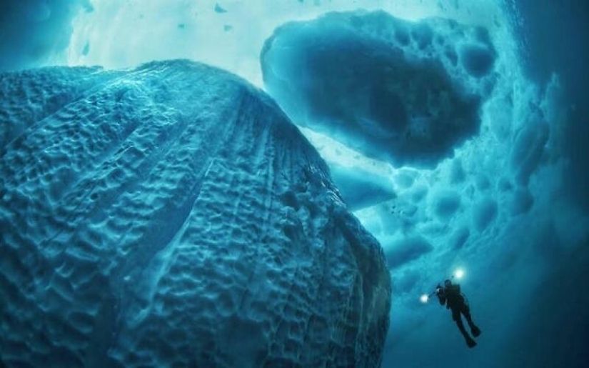 11 raras e impresionantes fotos de un iceberg en Groenlandia del fotógrafo Tobias Friedrich
