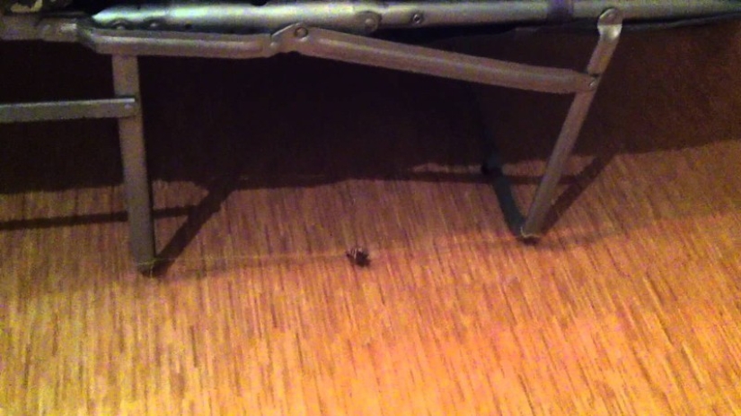 11 recipes of the pioneer past that we should tell children about 11 recipes of the pioneer past that we should tell children about