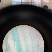 11 Times Nature Has Curious Surprises for Us 11 Times Nature Has Curious Surprises for Us