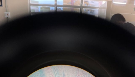 11 times nature has prepared for us curious surprises