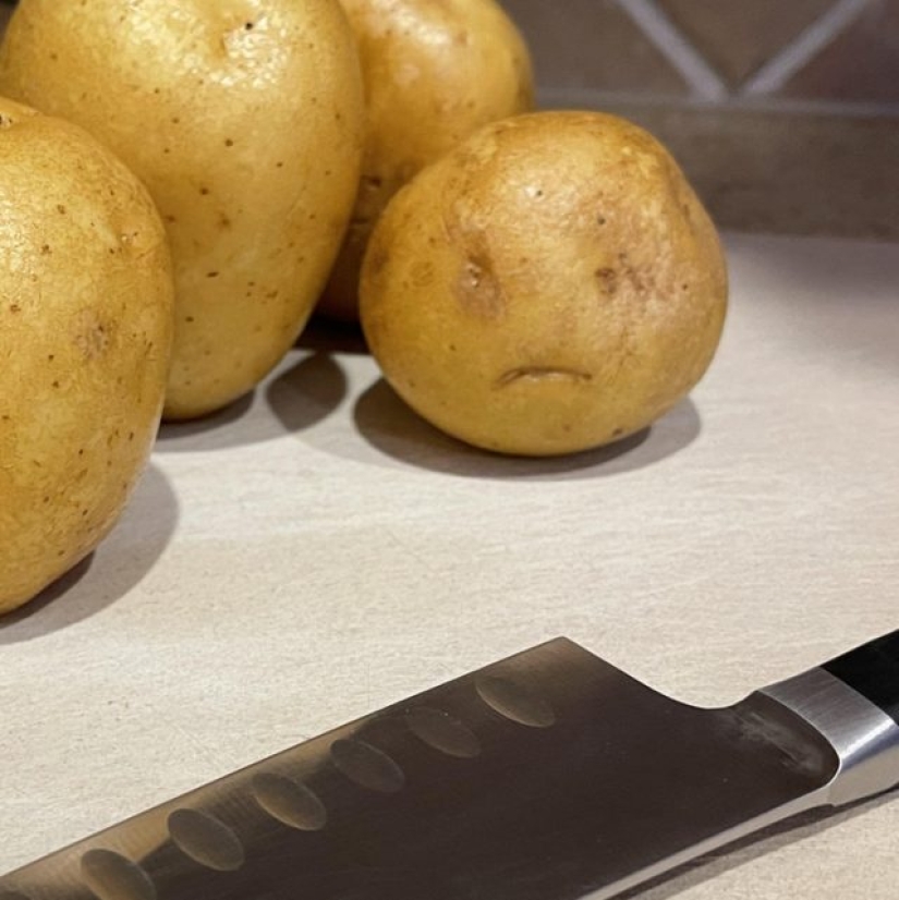 11 veces que la naturaleza nos ha preparado curiosas sorpresas