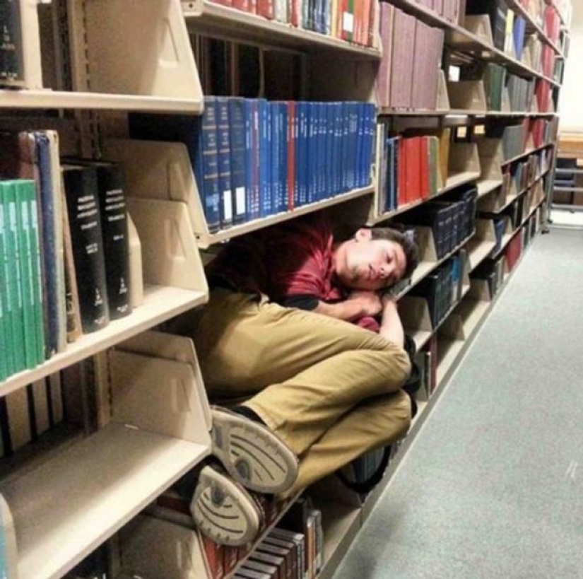12 casos divertidos cuando la gente fue sorprendida durmiendo 12 casos divertidos cuando la gente fue sorprendida durmiendo