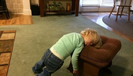 12 casos divertidos cuando la gente fue sorprendida durmiendo 12 casos divertidos cuando la gente fue sorprendida durmiendo