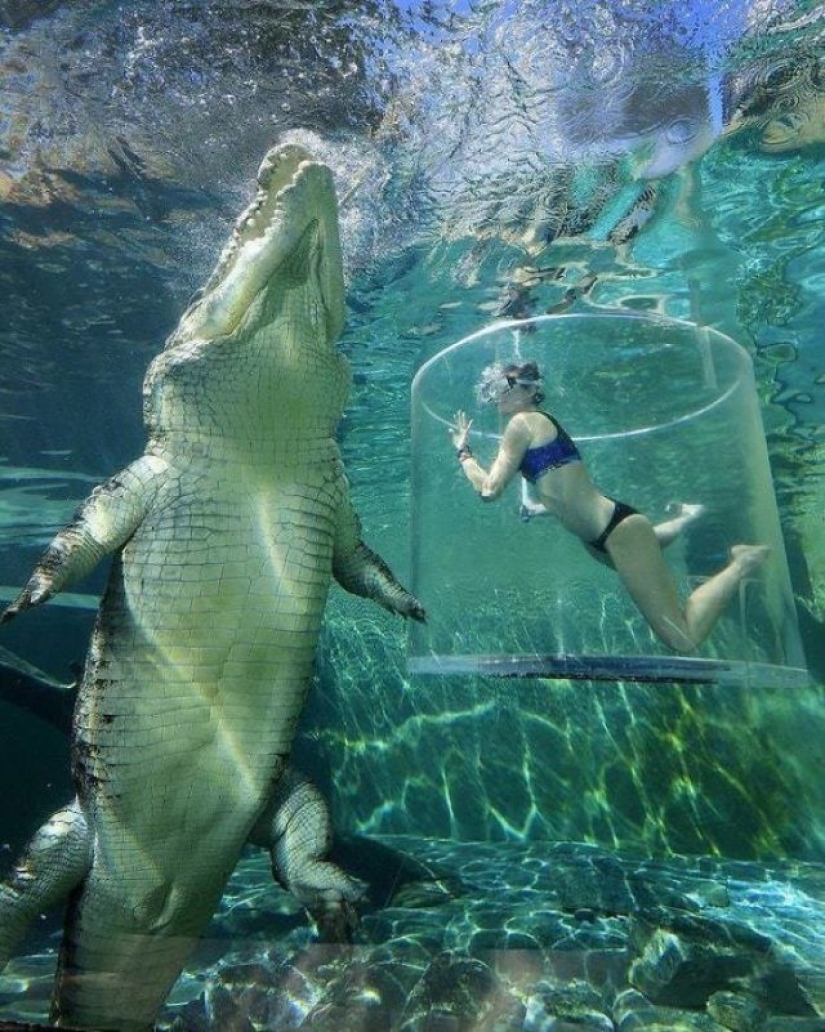 12 cosas que son mucho más de lo que pensabas