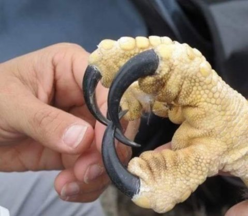 12 cosas que son mucho más de lo que pensabas