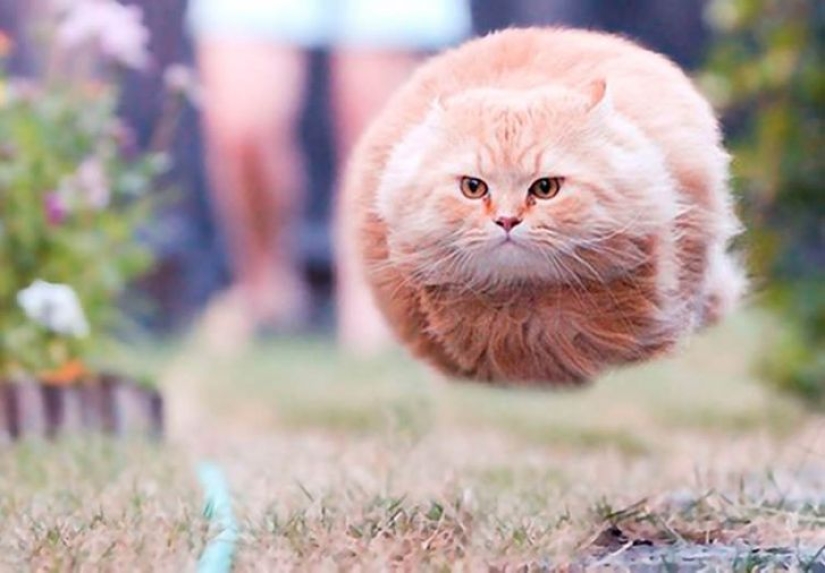 12 fotos tomadas en el momento más oportuno 12 fotos tomadas en el momento más oportuno