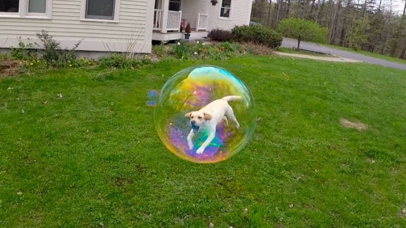 12 fotos tomadas en el momento más oportuno 12 fotos tomadas en el momento más oportuno