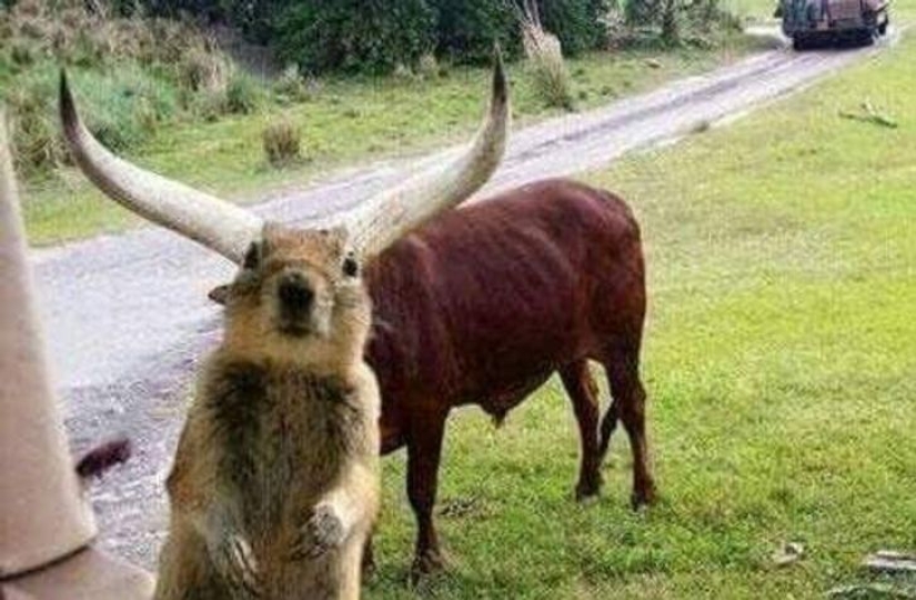 12 fotos tomadas en el momento más oportuno 12 fotos tomadas en el momento más oportuno
