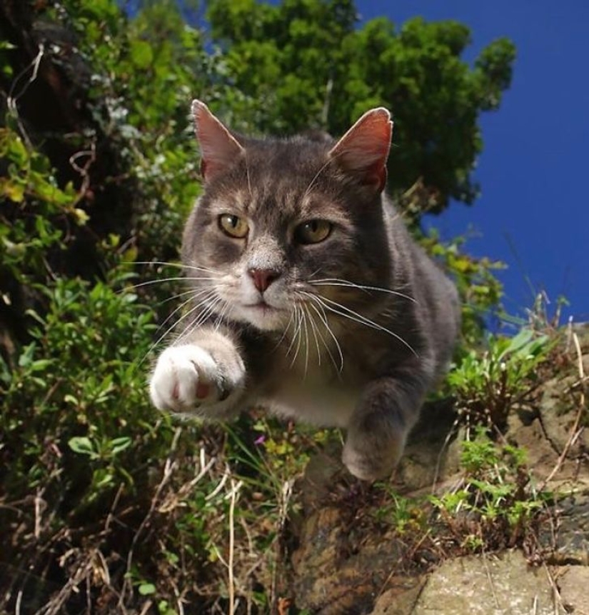 12 fotos tomadas en el momento más oportuno 12 fotos tomadas en el momento más oportuno