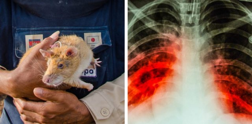 12 pairs of things that are surprisingly related to each other