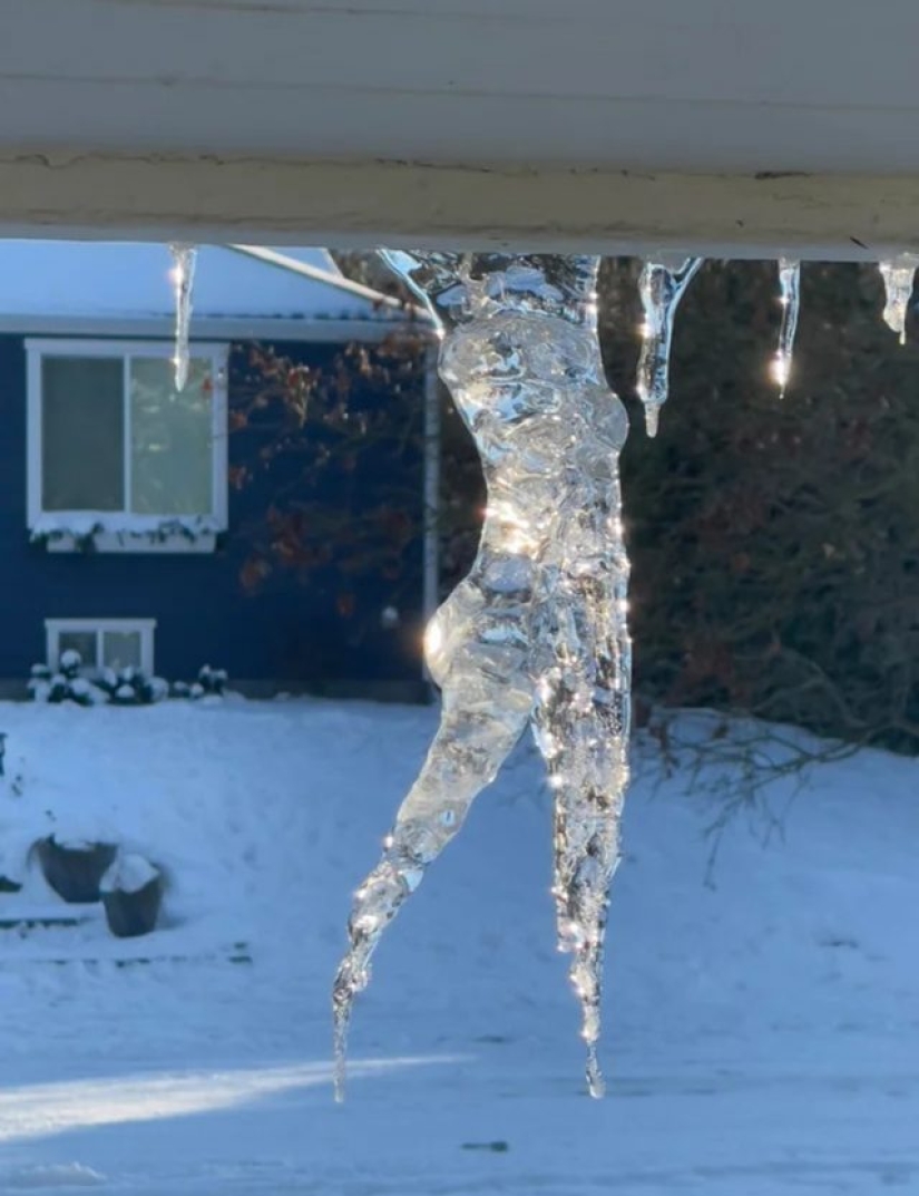 12 personas que vieron algo especial en la vida cotidiana 12 personas que vieron algo especial en la vida cotidiana