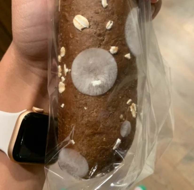 12 personas que vieron algo especial en la vida cotidiana 12 personas que vieron algo especial en la vida cotidiana