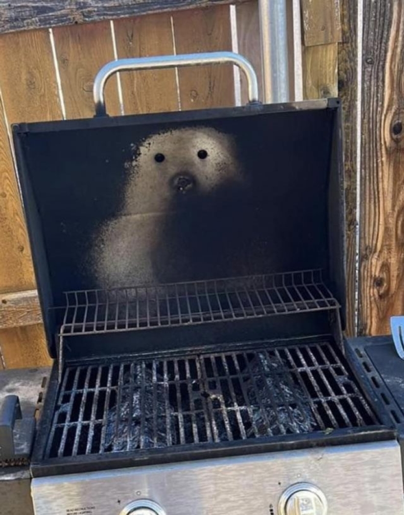 12 personas que vieron algo especial en la vida cotidiana 12 personas que vieron algo especial en la vida cotidiana