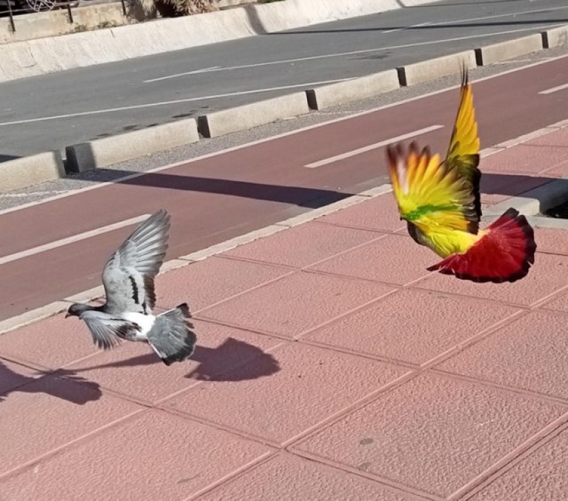 12 personas que vieron algo especial en la vida cotidiana 12 personas que vieron algo especial en la vida cotidiana