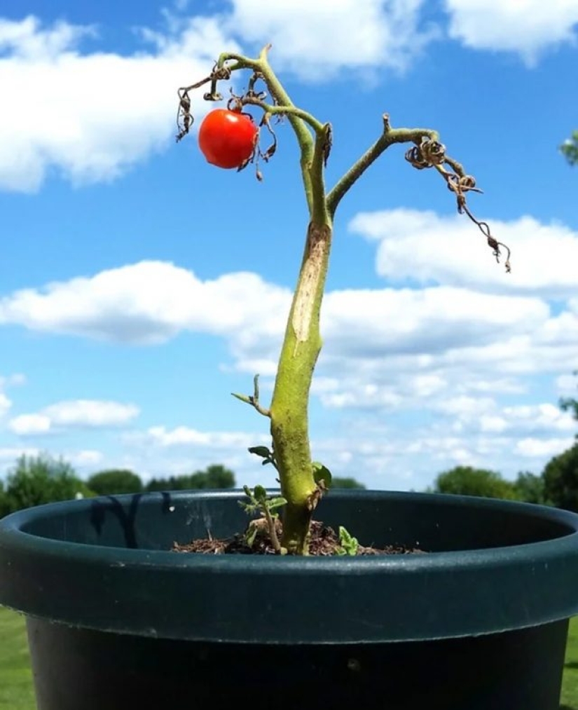 12 personas que vieron algo especial en la vida cotidiana 12 personas que vieron algo especial en la vida cotidiana