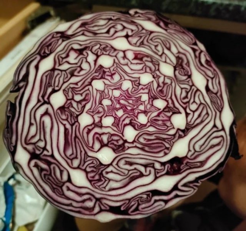 12 personas que vieron algo especial en la vida cotidiana 12 personas que vieron algo especial en la vida cotidiana