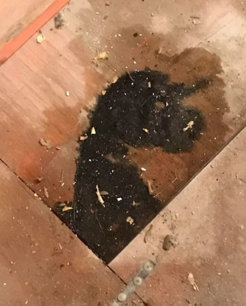 12 personas que vieron algo especial en la vida cotidiana 12 personas que vieron algo especial en la vida cotidiana