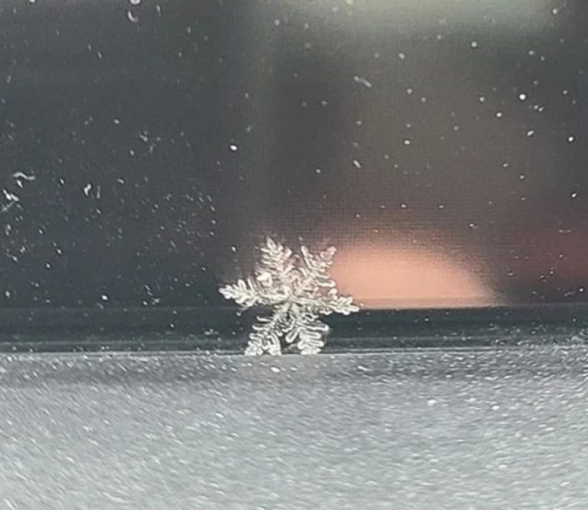 12 personas que vieron algo especial en la vida cotidiana 12 personas que vieron algo especial en la vida cotidiana