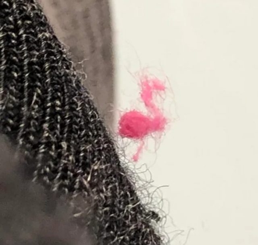 12 personas que vieron algo especial en la vida cotidiana 12 personas que vieron algo especial en la vida cotidiana