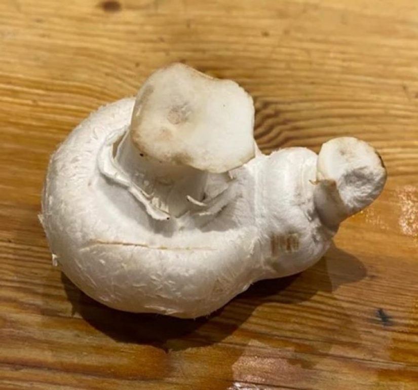 12 personas que vieron algo especial en la vida cotidiana 12 personas que vieron algo especial en la vida cotidiana