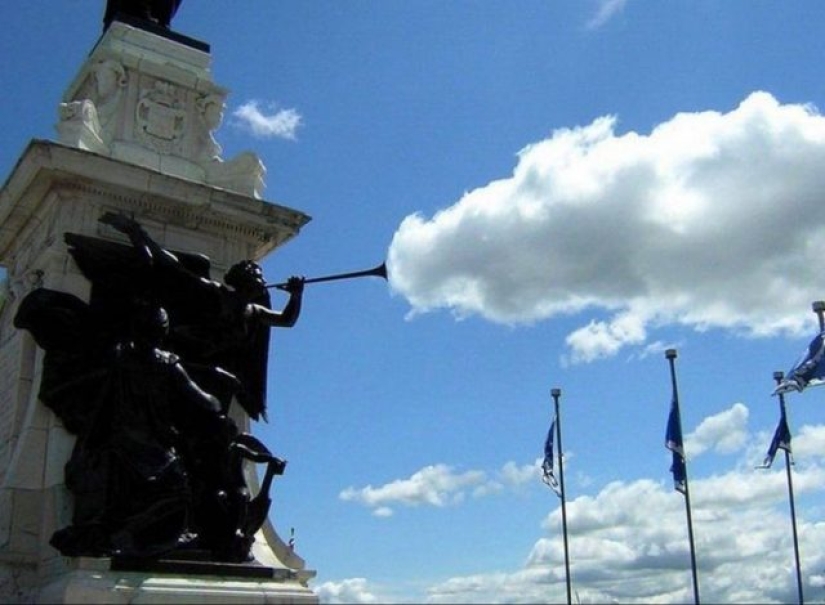 12 photos taken at the most opportune moment