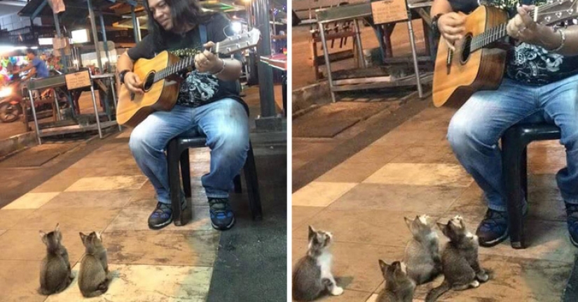 12 photos that prove our pets are adorable