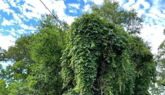 12 photos that prove that the angle can change everything