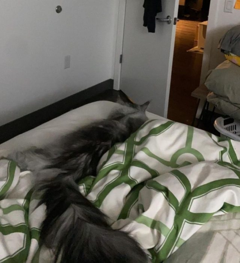 12 photos that prove that the angle can change everything
