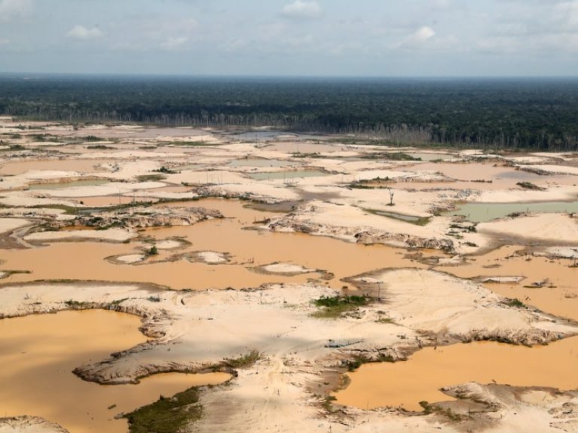12 photos that show how humans have changed the world's forests