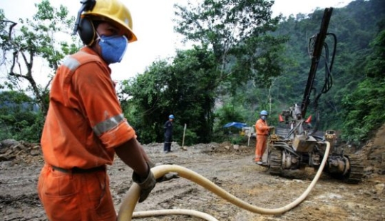 12 photos that show how humans have changed the world's forests 12 photos that show how humans have changed the world's forests