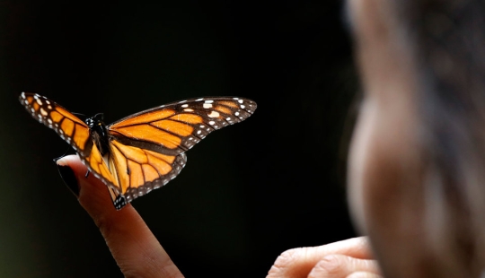 12 señales de que estamos en medio de la sexta extinción masiva 12 señales de que estamos en medio de la sexta extinción masiva