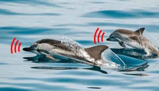 13 absurd facts that will blow your mind 13 absurd facts that will blow your mind