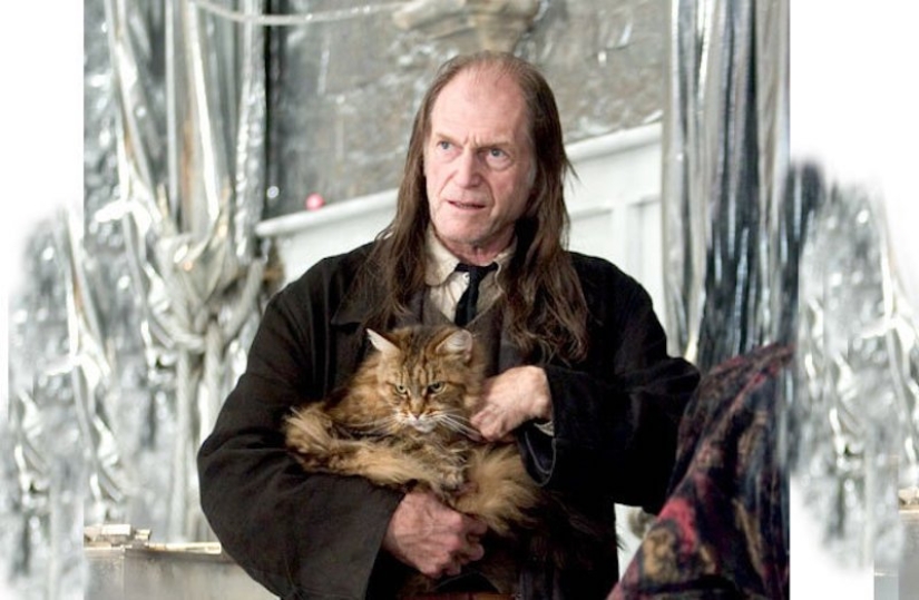 13 actors from the Harry Potter films who starred in "Game of Thrones"