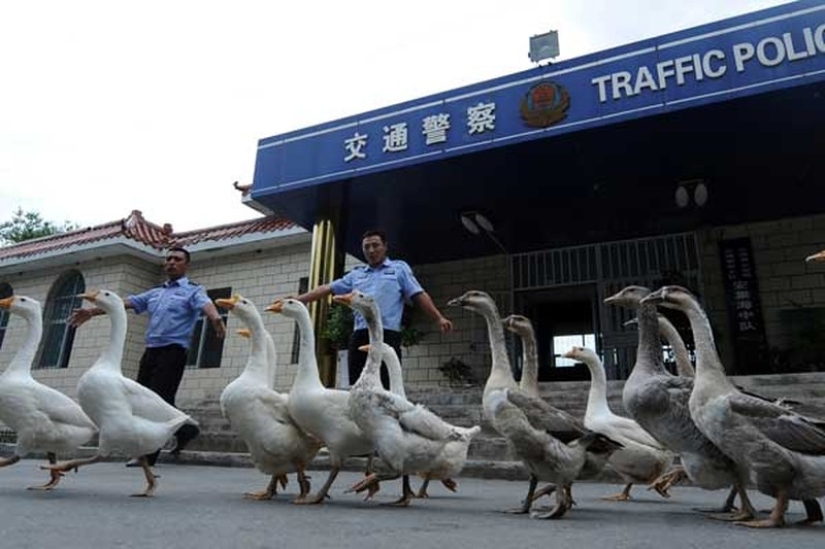13 Chinese customs that shock foreigners