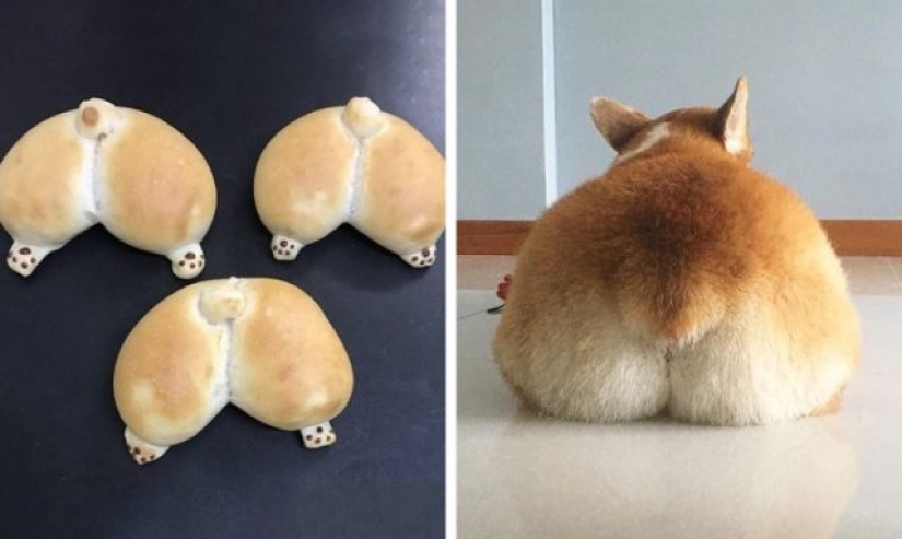 13 cosas que podrían hacer que dejes todo y te vayas a Japón 13 cosas que podrían hacer que dejes todo y te vayas a Japón