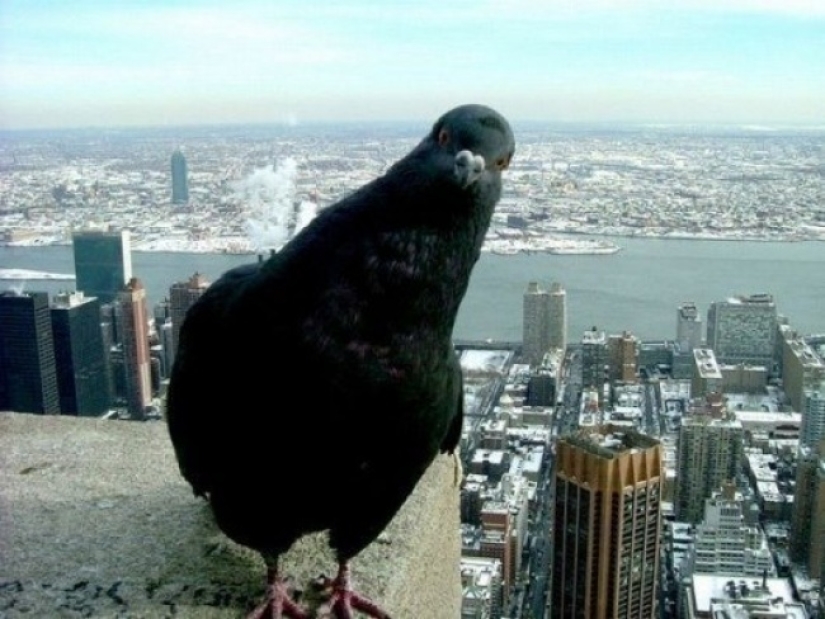 13 datos interesantes sobre la comida que definitivamente te sorprenderán 13 datos interesantes sobre la comida que definitivamente te sorprenderán