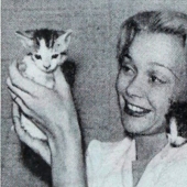 13 signs that tell you that you are smarter than you think