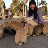 13 Things That Might Make You Drop Everything and Go to Japan 13 Things That Might Make You Drop Everything and Go to Japan