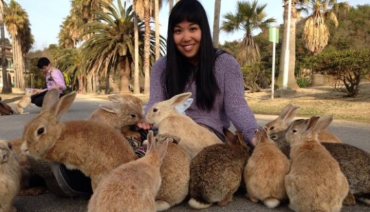 13 Things That Might Make You Drop Everything and Go to Japan