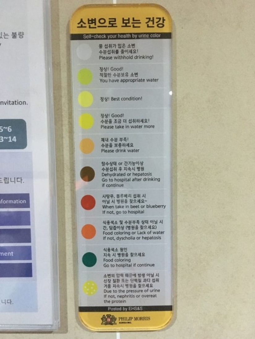 13 things you can only see in Asia