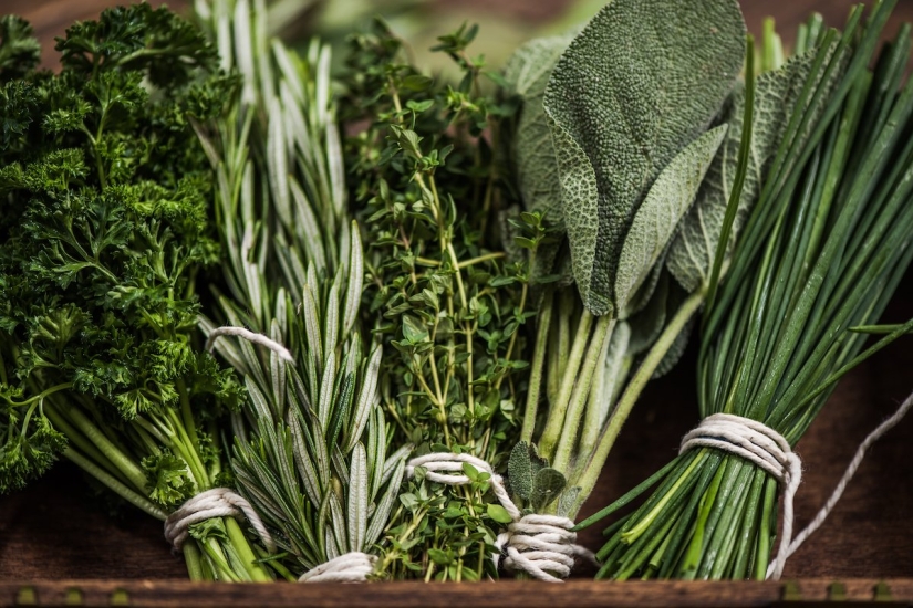 14 alimentos que hacen que tu cuerpo huela bien