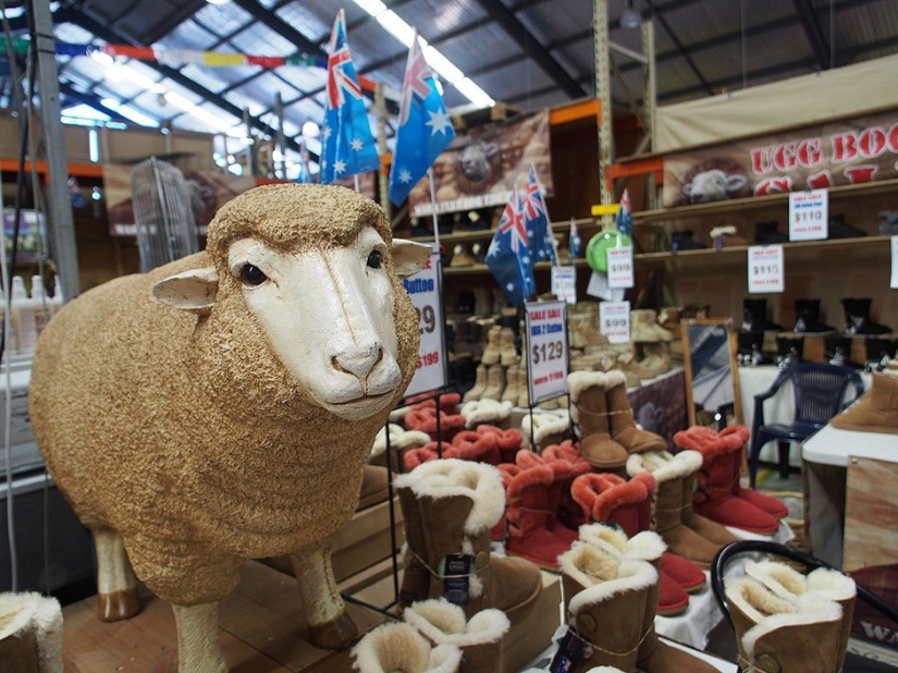 14 facts about Australia that you probably weren't familiar with 14 facts about Australia that you probably weren't familiar with