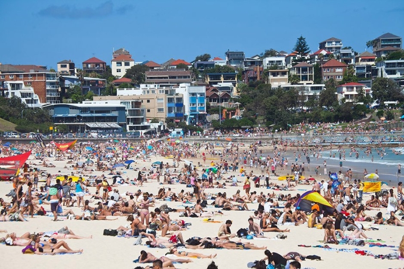 14 facts about Australia that you probably weren't familiar with 14 facts about Australia that you probably weren't familiar with