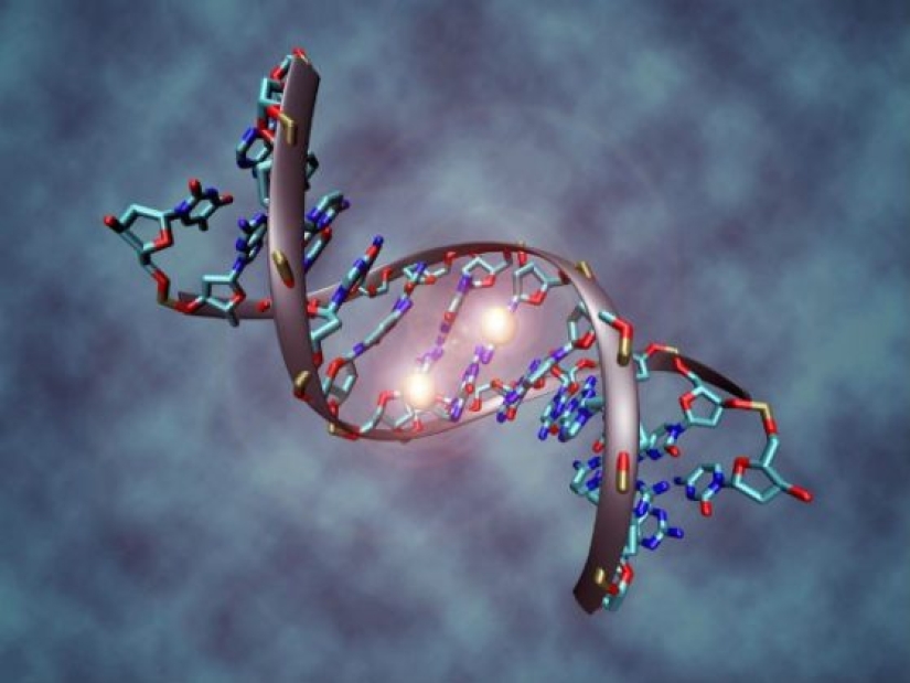 14 facts you may not know about DNA 14 facts you may not know about DNA