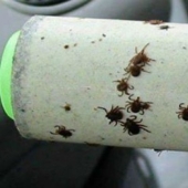 14 great life hacks for the best outdoor recreation