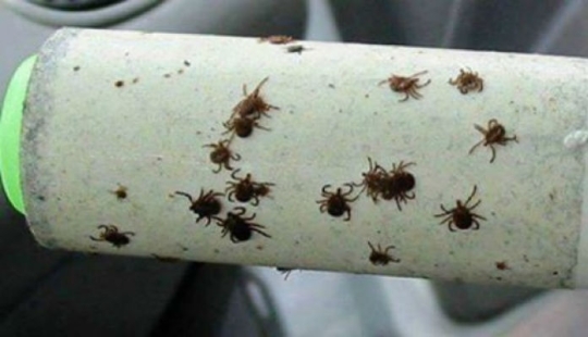 14 great life hacks for the best outdoor recreation 14 great life hacks for the best outdoor recreation