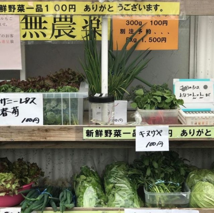 14 hechos que prueban que Japón vive en 3022