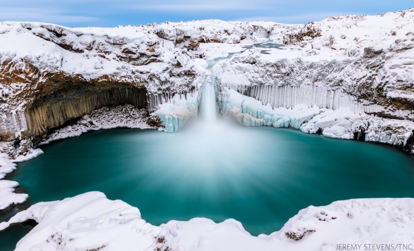 14 impresionantes imágenes de los ganadores del concurso Nature Conservancy 2018